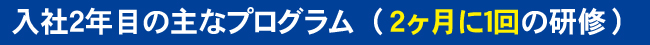 入社2年目の主なプログラム